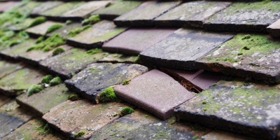 Mynyddygarreg roof repair costs